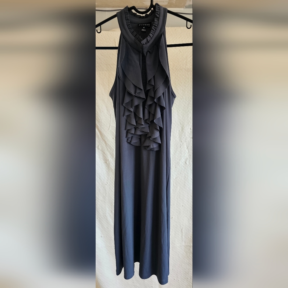 En Focus Studio Sleeveless Dress, Size 4